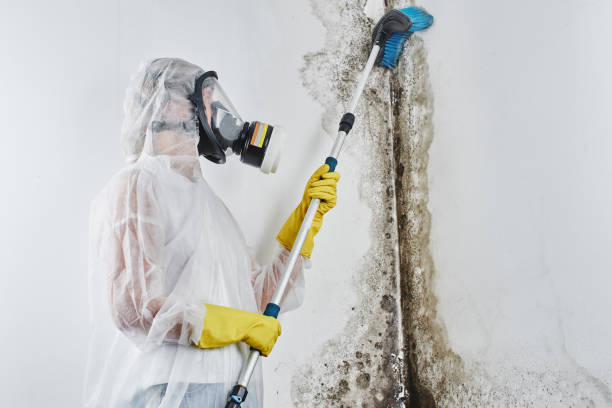 Water Damage Restoration in Columbia Falls, MT