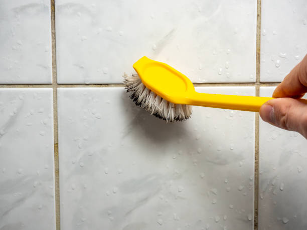 Best Mold Removal Near Me  in Columbia Falls, MT