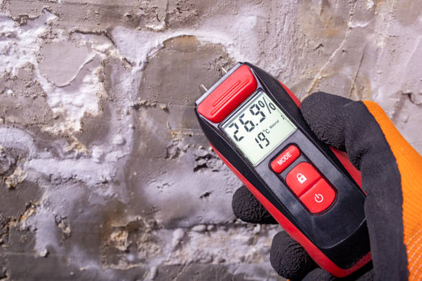 Office Mold Removal Services in Columbia Falls, MT