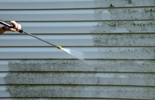 Best Professional Mold Removal  in Columbia Falls, MT