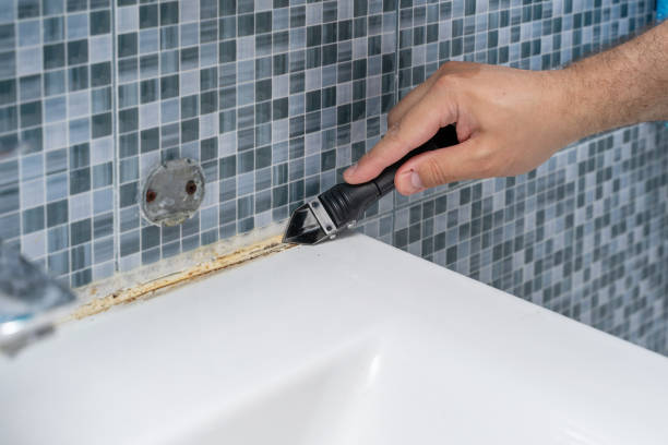 Best Mold Cleaning Services  in Columbia Falls, MT