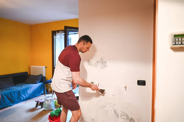 Best Emergency Mold Removal  in Columbia Falls, MT